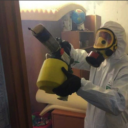 Уничтожение клопов в квартире. Мураново